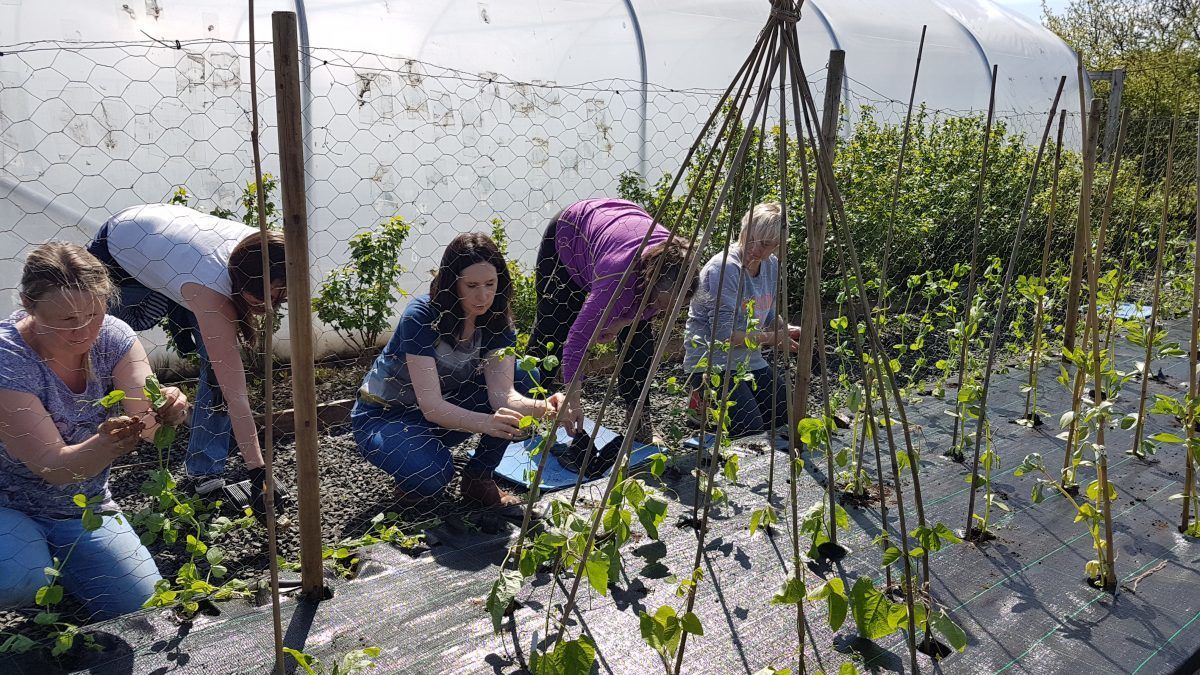 The Impact of local philanthropy