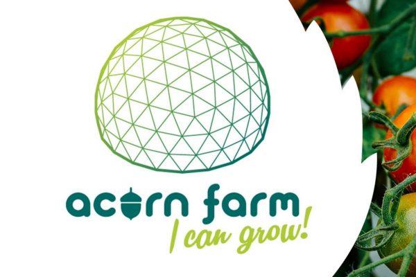 Acorn Fund, sowing seeds of change in Derry and Strabane