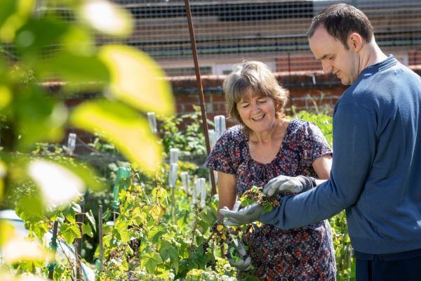 258 families sign up to ‘I Can Grow’ project