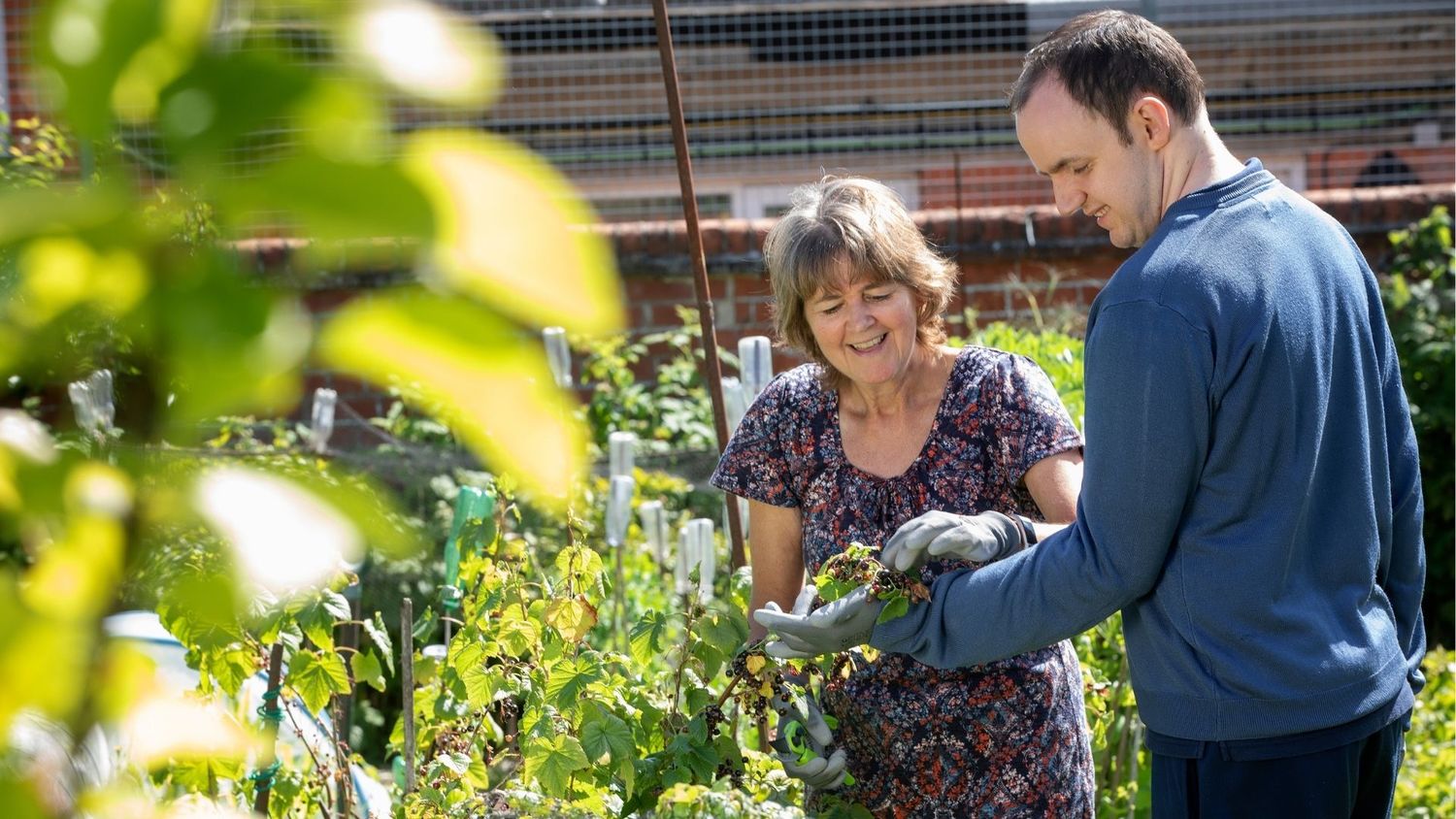 258 families sign up to ‘I Can Grow’ project